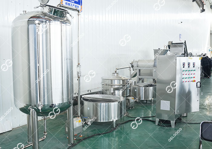 Pineapple Juice Processing Machines
